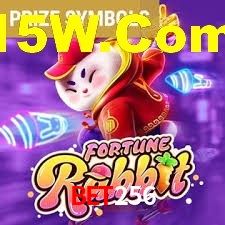 Premium Interface Bet256