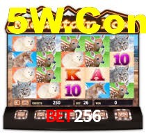 Explore as vantagens do Bet256: serviço profissional e confiabilidade