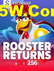 Experiência VIP Bet256